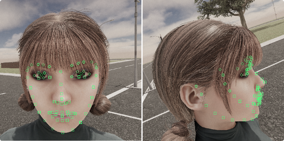 Face-keypoints.png